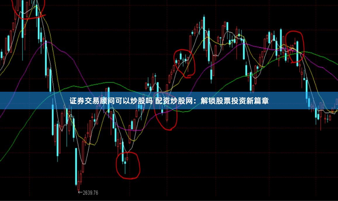 证券交易顾问可以炒股吗 配资炒股网：解锁股票投资新篇章