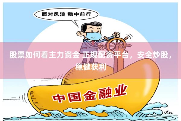 股票如何看主力资金 正规配资平台,安全炒股,稳健获利