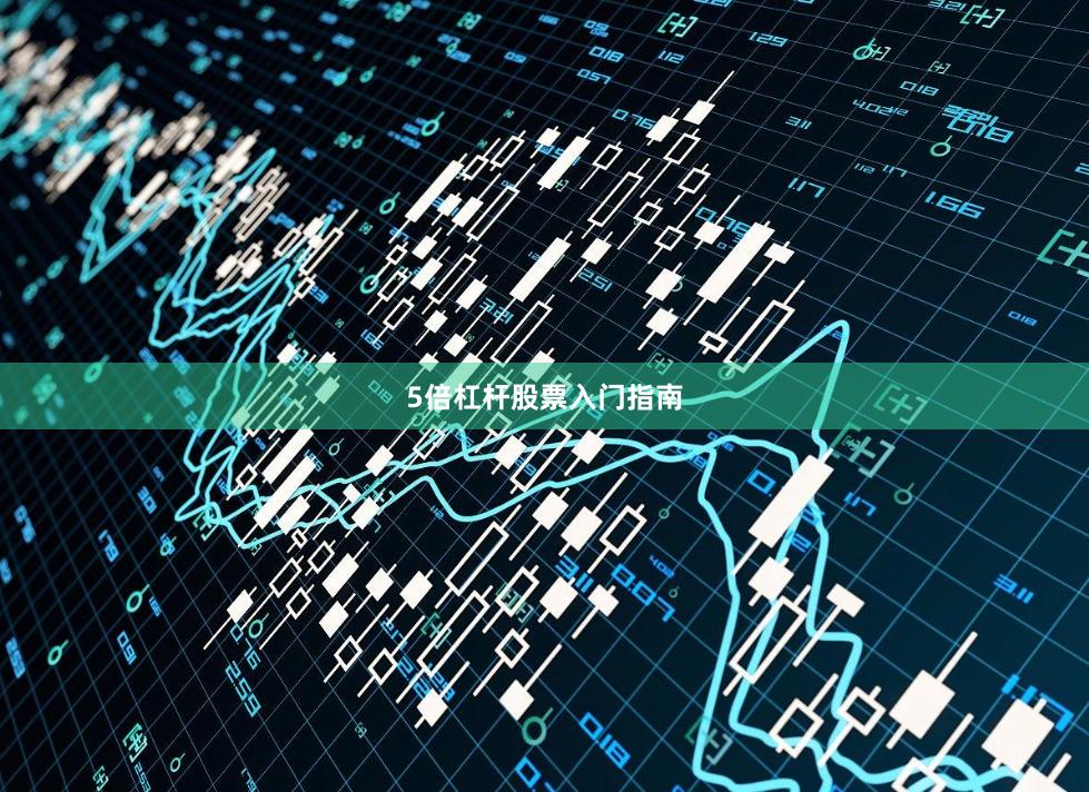 5倍杠杆股票入门指南