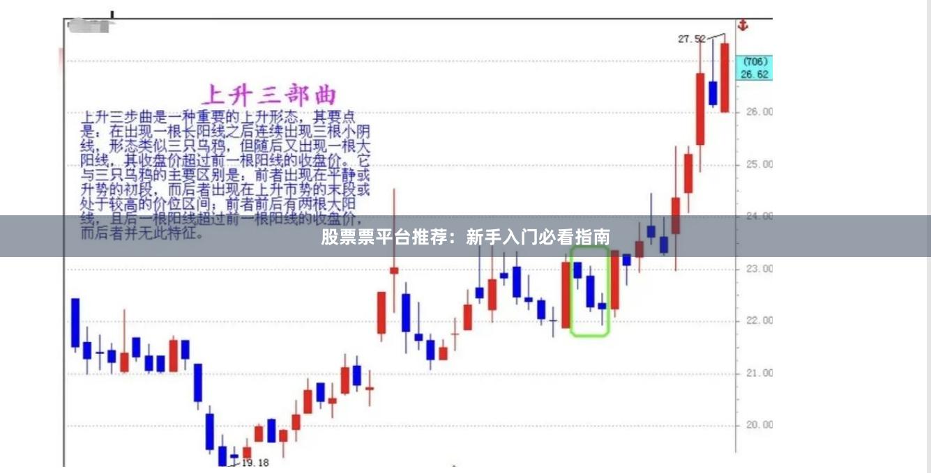 股票票平台推荐：新手入门必看指南